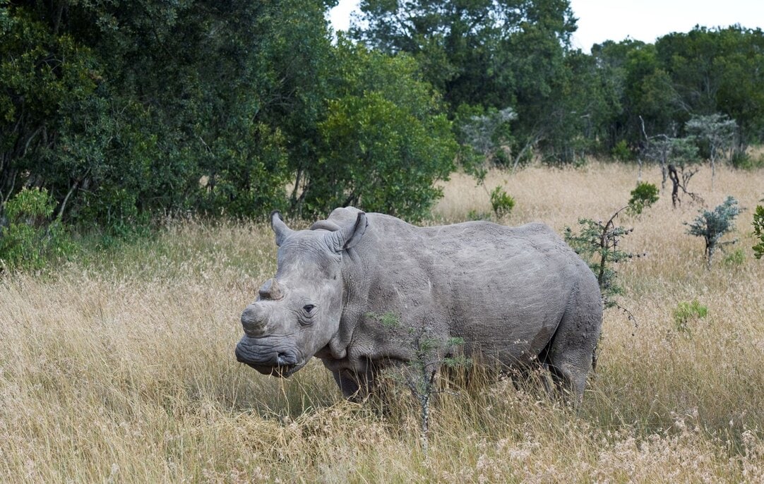 Сексуални тиотушка в Севере